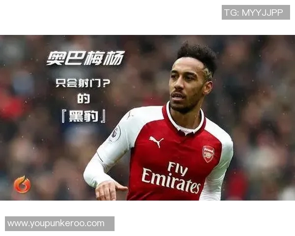 黑豹球星的传奇之路从绿茵场到世界舞台的崛起与荣耀